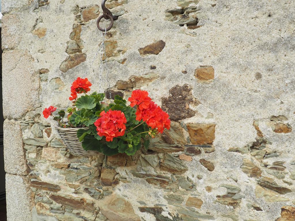 Les Grands-Aulnais Bed and Breakfast Cossé-le-Vivien Buitenkant foto
